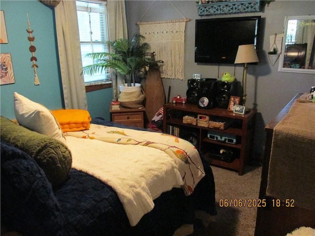 112 Spruce St, Garden City, MO 64747 - view of carpeted bedroom