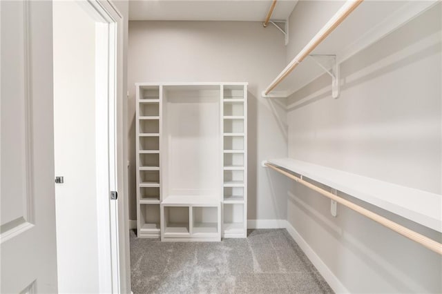 18722 W 169th Ter, Olathe, KS 66062 - spacious closet featuring light colored carpet