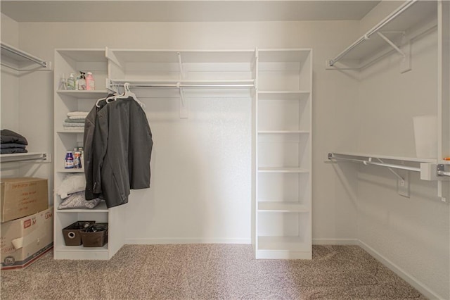 16321 Nieman Rd, Overland Park, KS 66062 - walk in closet with carpet