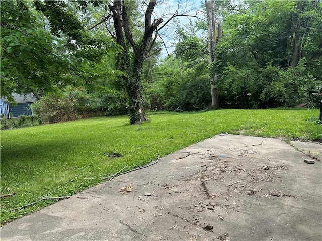 11313 Donnelly Ave, Kansas City, MO 64134 - photo 11