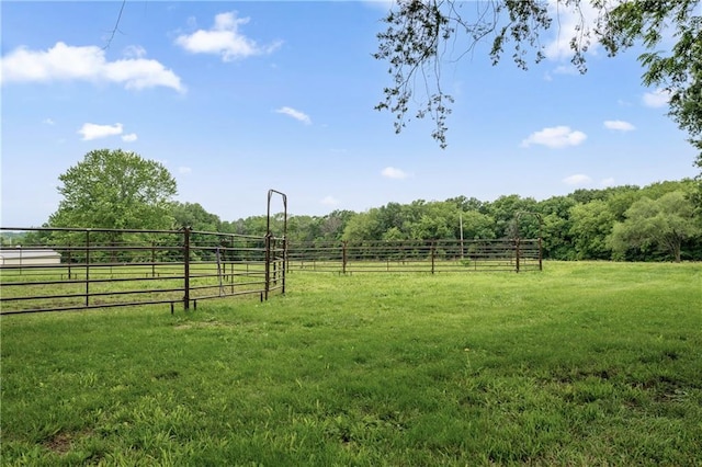 19109 Quinn Rd, Trimble, MO 64492 - view of yard with a view of rural / pastoral area