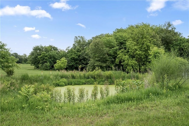 19109 Quinn Rd, Trimble, MO 64492 - view of nature