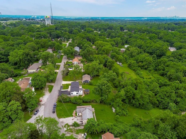 5242 N Cambridge Ave, Kansas City, MO 64119 - photo 57