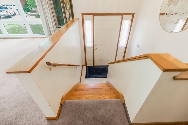 1310 N Leeview Cir, Olathe, KS 66061 - stairway featuring carpet and healthy amount of natural light