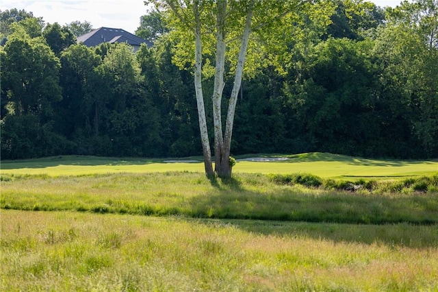 6501 N National Dr, Parkville, MO 64152 - view of yard with view of golf course