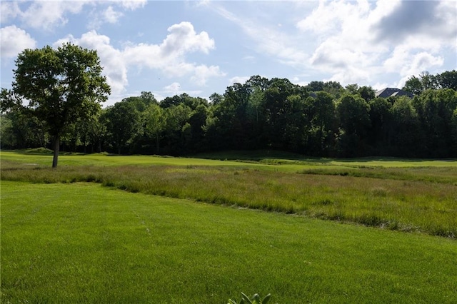 6501 N National Dr, Parkville, MO 64152 - view of green lawn