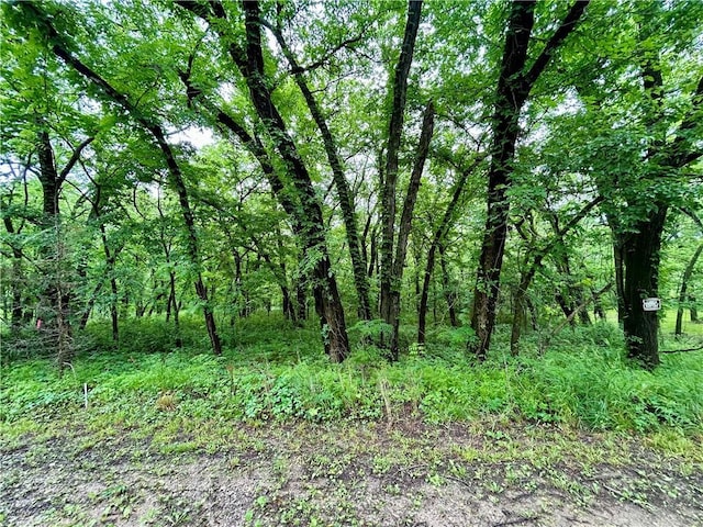 125 Rock Hill Rd, Lacygne, KS 66040