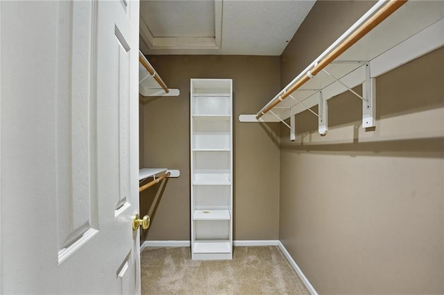 14876 S Summit St, Olathe, KS 66062 - walk in closet featuring carpet flooring and attic access