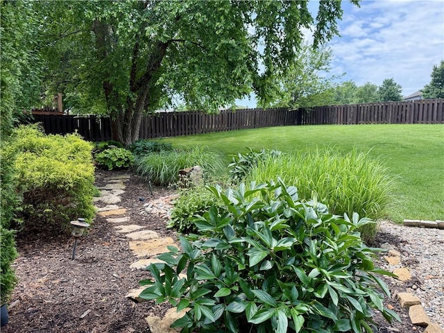 14876 S Summit St, Olathe, KS 66062 - view of fenced backyard