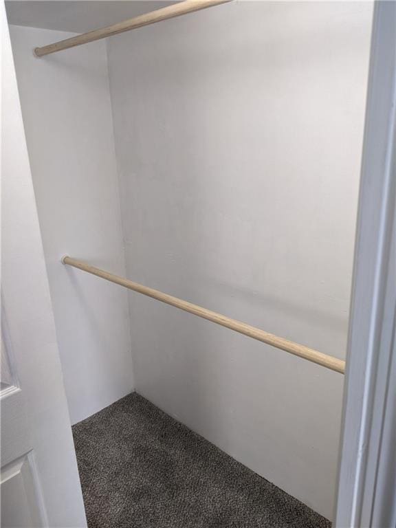 203 W 4th St, Holden, MO 64040 - spacious closet featuring carpet floors