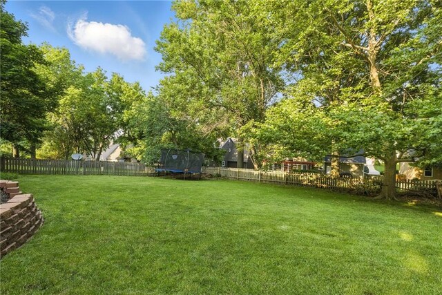 11409 Riley St, Overland Park, KS 66210 - fenced backyard featuring a trampoline