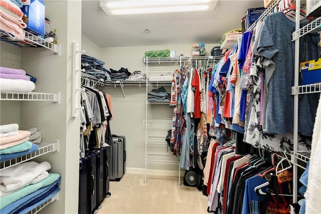 7226 Meadow View St, Shawnee, KS 66227 - spacious closet with carpet flooring