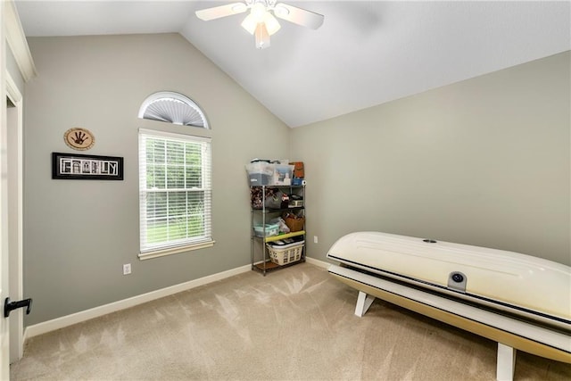 7226 Meadow View St, Shawnee, KS 66227 - bedroom with lofted ceiling, light carpet, baseboards, and ceiling fan