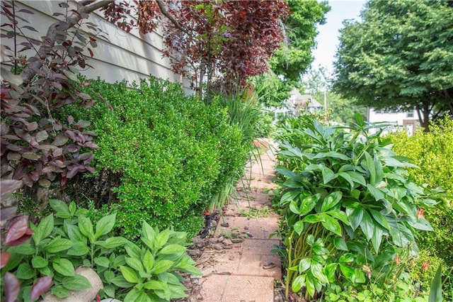 4930 Holly St, Kansas City, MO 64112 - view of yard