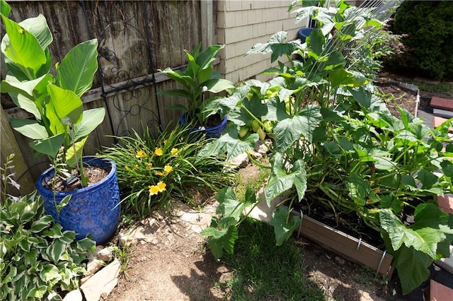 4930 Holly St, Kansas City, MO 64112 - exterior view of a vegetable garden