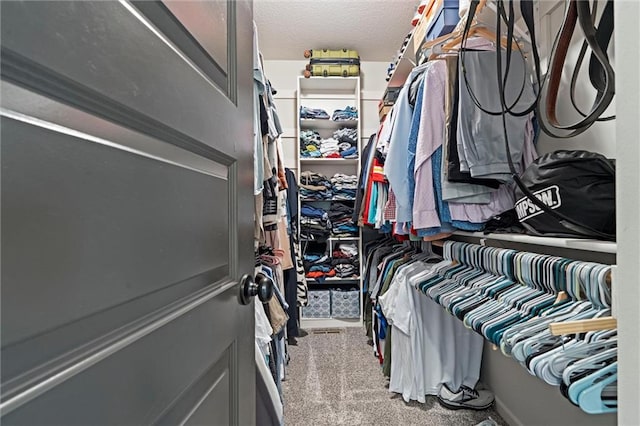 1402 NW Red Oak Ct, Grain Valley, MO 64029 - walk in closet featuring carpet flooring