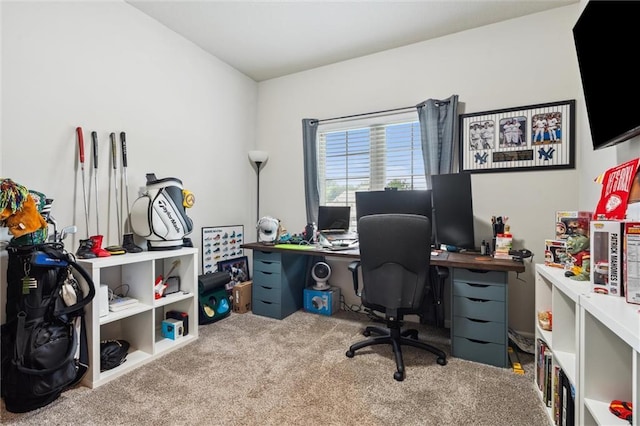 1402 NW Red Oak Ct, Grain Valley, MO 64029 - office featuring carpet floors