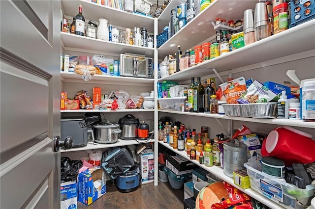1402 NW Red Oak Ct, Grain Valley, MO 64029 - view of pantry