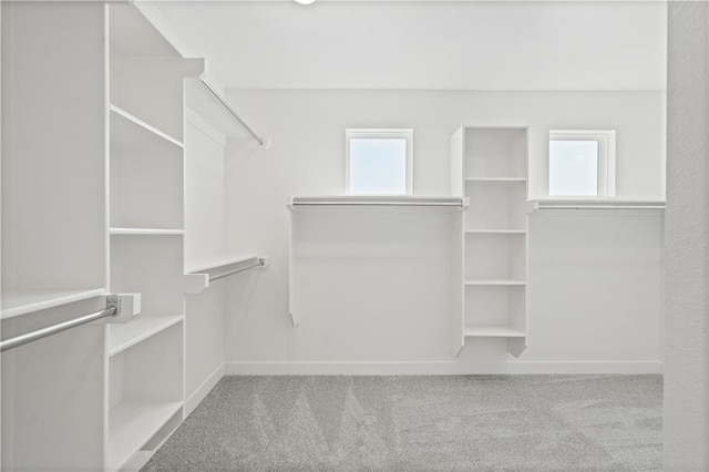 1913 SW Hightown Dr, Lees Summit, MO 64082 - spacious closet with carpet floors
