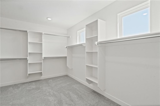 1913 SW Hightown Dr, Lees Summit, MO 64082 - walk in closet with carpet floors