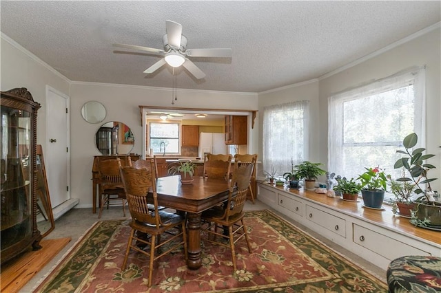 421 N Nettleton Ave, Bonner Springs, KS 66012 - dining area with a ceiling fan, a textured ceiling, and ornamental molding
