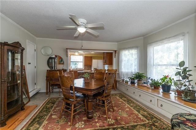 421 N Nettleton Ave, Bonner Springs, KS 66012 - dining area with a textured ceiling, a ceiling fan, ornamental molding, and a baseboard heating unit