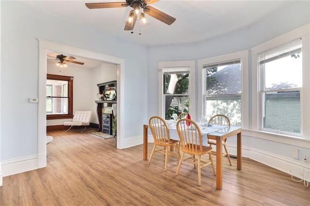 3521 Windsor Ave, Kansas City, MO 64123 - dining space featuring ceiling fan, healthy amount of natural light, and light wood-type flooring