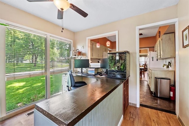 115 Adkins Rd, Glenaire, MO 64068 - office with a ceiling fan and light wood-style floors