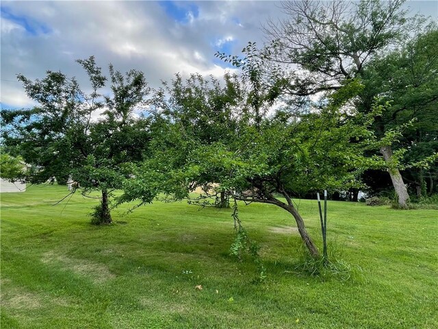 816 E Gay St, Warrensburg, MO 64093 - photo 4
