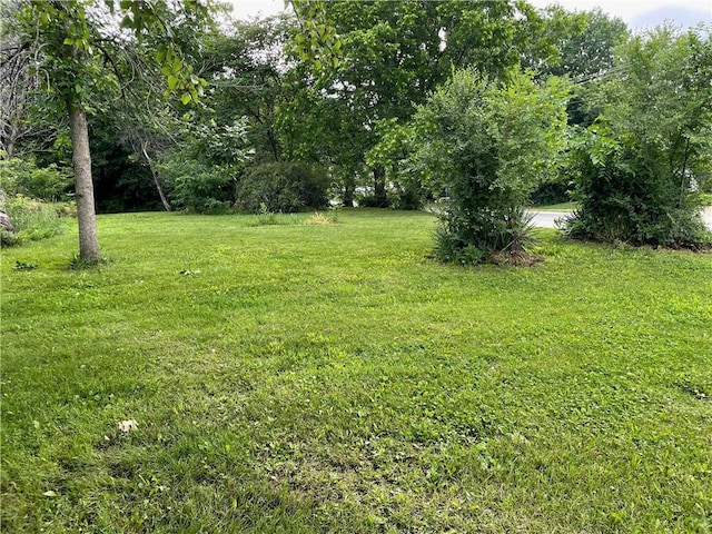 816 E Gay St, Warrensburg, MO 64093 - photo 5