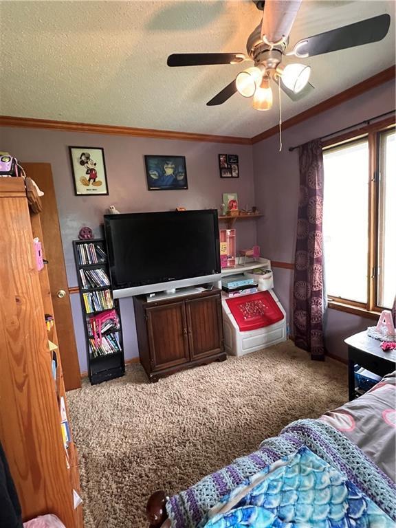 25220 S Blinker Light Rd, Harrisonville, MO 64701 - photo 16