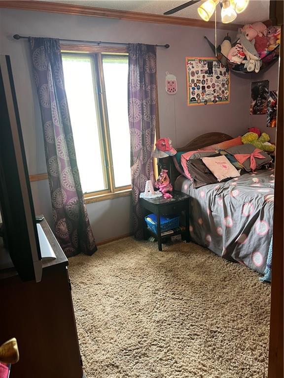 25220 S Blinker Light Rd, Harrisonville, MO 64701 - photo 17