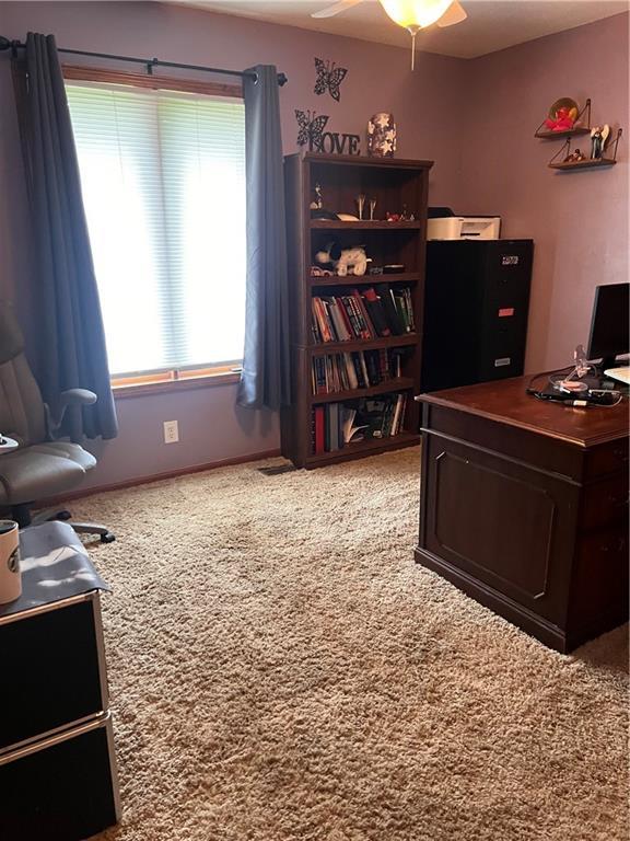 25220 S Blinker Light Rd, Harrisonville, MO 64701 - photo 18