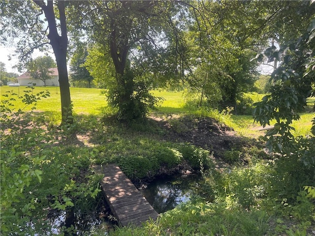 25220 S Blinker Light Rd, Harrisonville, MO 64701 - photo 46