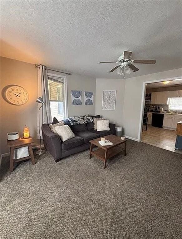 501 W Mcpherson St, Knob Noster, MO 65336 - living room featuring light colored carpet, a textured ceiling, a ceiling fan, and baseboards