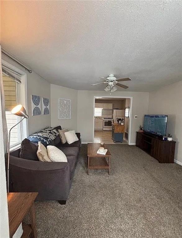 501 W Mcpherson St, Knob Noster, MO 65336 - carpeted living area featuring plenty of natural light, a textured ceiling, a ceiling fan, and baseboards