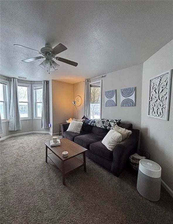 501 W Mcpherson St, Knob Noster, MO 65336 - living room with a textured ceiling, a ceiling fan, baseboards, and carpet