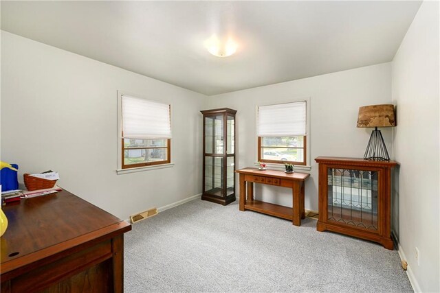 4820 Stearns Ln, Shawnee, KS 66203 - office featuring light colored carpet