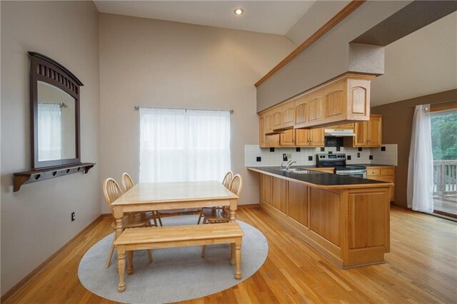 205 SW Creek Ridge Dr, Grain Valley, MO 64029 - photo 11