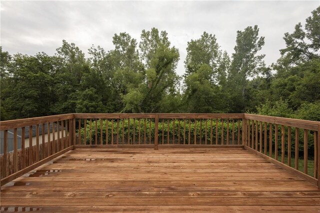 205 SW Creek Ridge Dr, Grain Valley, MO 64029 - photo 32