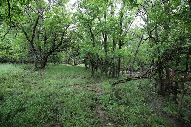 000 245th St, Fort Scott, KS 66701 - photo 17