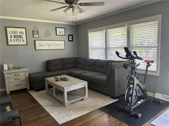 241 E S St, Peculiar, MO 64078 - living room with a ceiling fan, a textured ceiling, wood finished floors, and crown molding