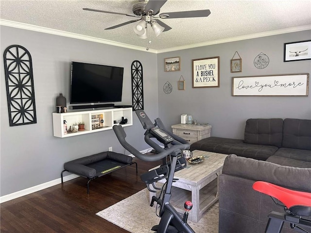 241 E S St, Peculiar, MO 64078 - living area with wood finished floors, ceiling fan, a textured ceiling, and crown molding