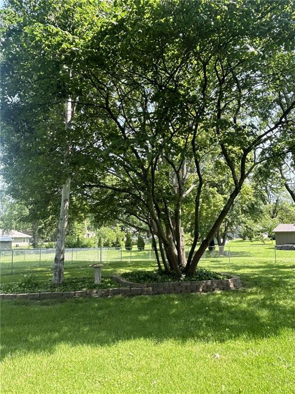 241 E S St, Peculiar, MO 64078 - view of yard