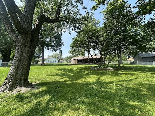 241 E S St, Peculiar, MO 64078 - view of yard
