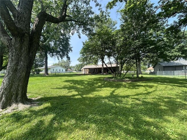 241 E S St, Peculiar, MO 64078 - view of yard