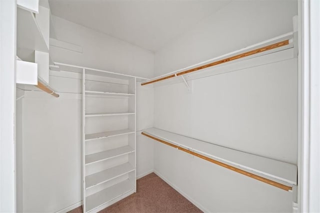 7633 W 148th Ter, Overland Park, KS 66223 - walk in closet with carpet floors