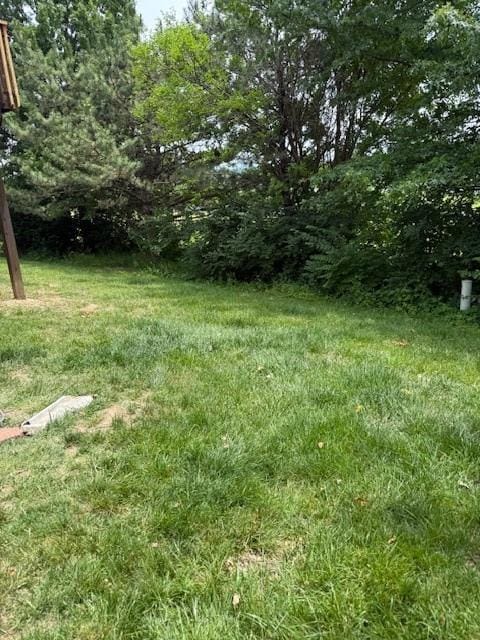 1235 Ashley Ln, Grain Valley, MO 64029 - view of yard