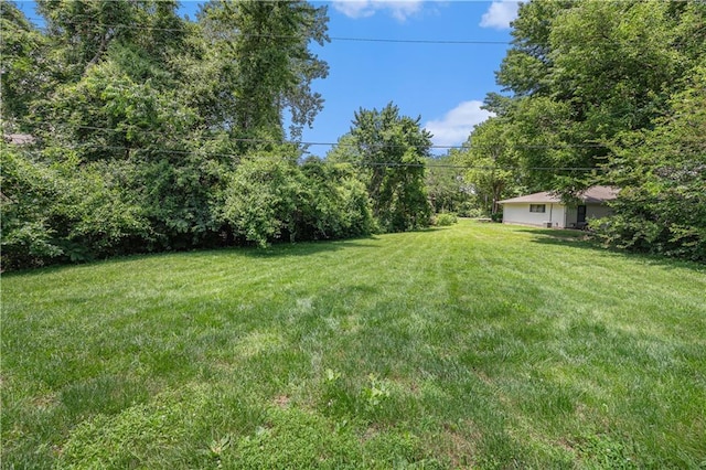 2701 NW 5th St, Blue Springs, MO 64014 - view of green lawn