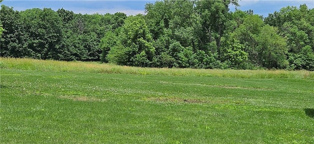 123 NW 1501st Rd, Holden, MO 64040 - view of grassy yard